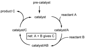 Catalytic Cycle